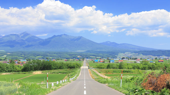 ベルトゥリー石油4